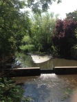Weir, Mill Pond