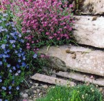 Rockery with spring flowers & carved stones
